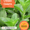 Стевия Свиити фото 1 