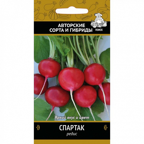 Редис Спартак фото Редис Спартак 