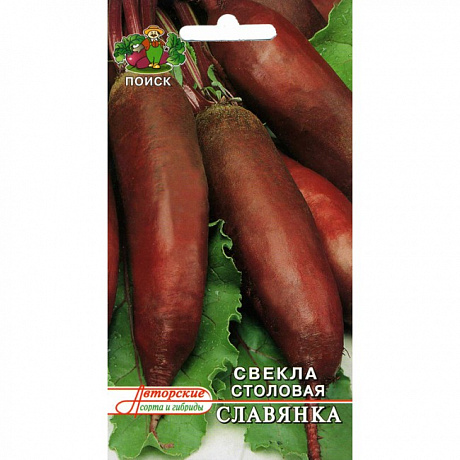 Свёкла столовая Славянка фото Свёкла столовая Славянка 